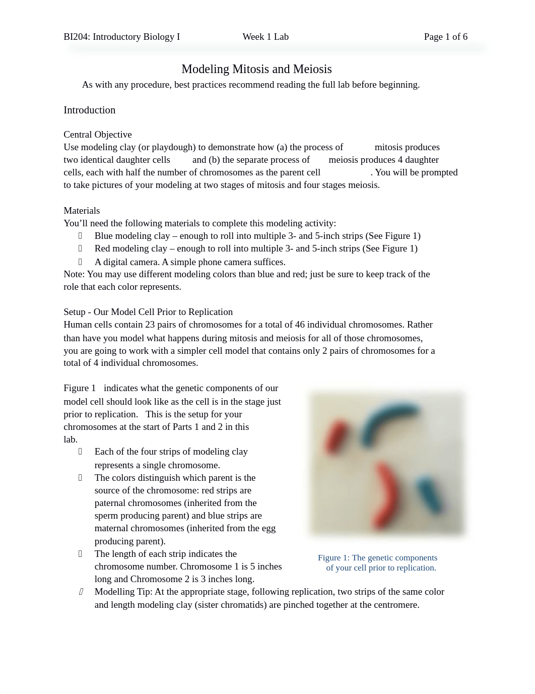 BI204_Week1_Lab_MitosisMeiosis-1.docx_d808acckr22_page1