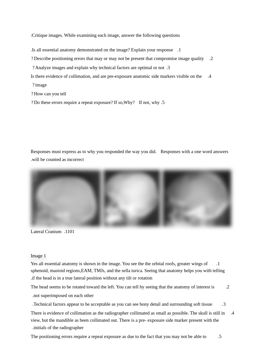 Skull Critique assignment.docx_d8093pex3re_page1