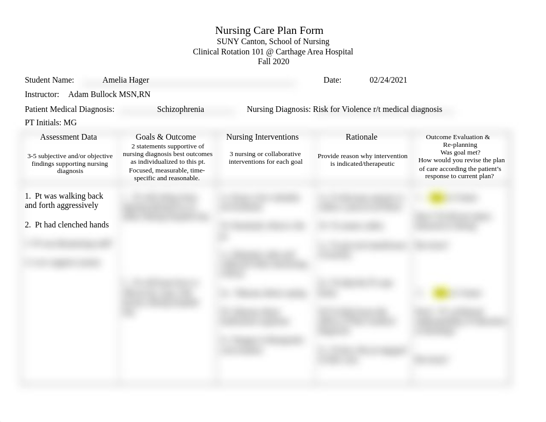 Clinical Nurse Care Plan MH Week 3.doc_d80bkh55ju4_page1