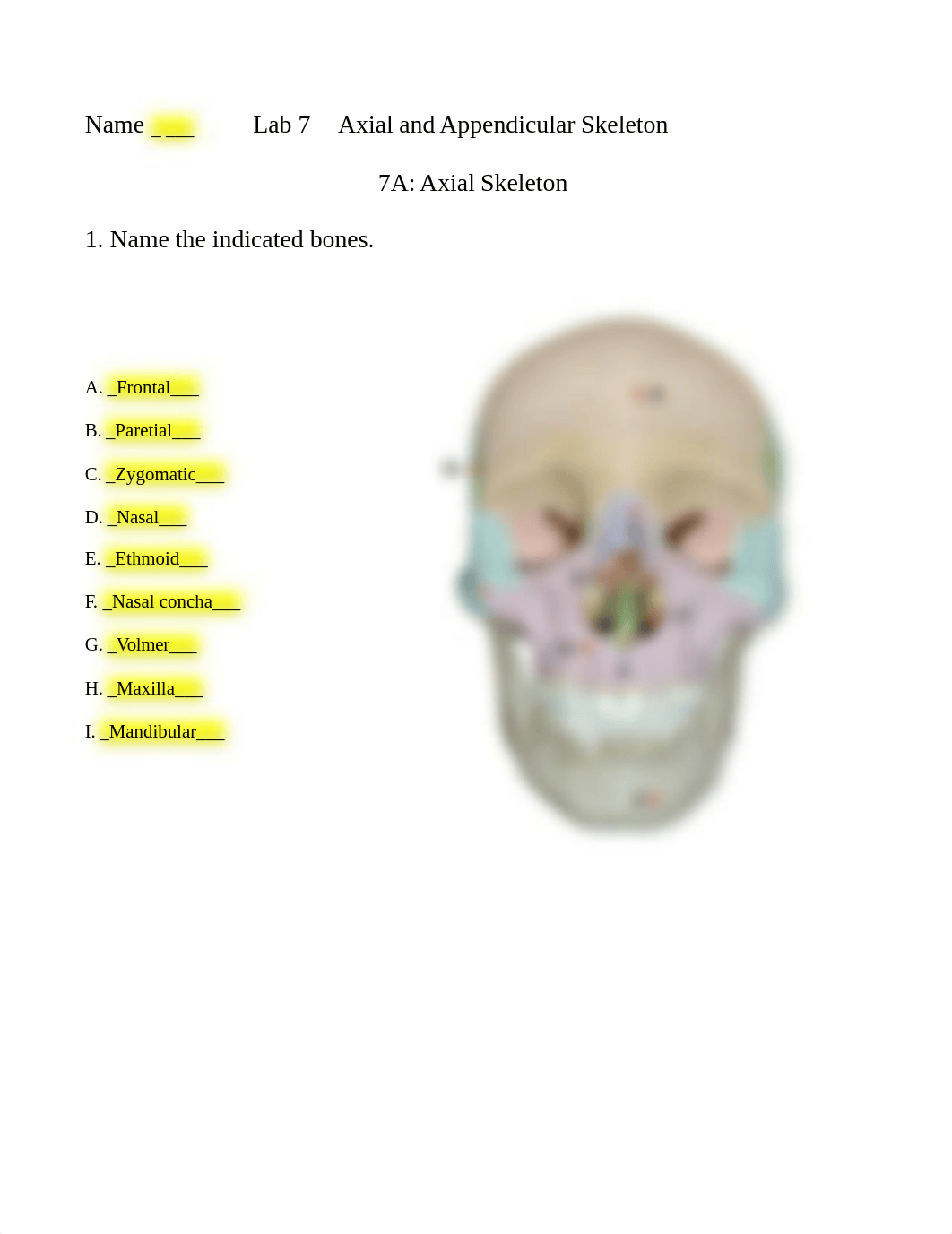 Lab 7 Axial and Appendicular Skeleton.docx_d80d4zxbvsa_page1