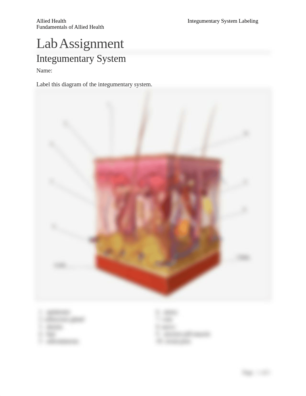 Lab_IntegumentarySystemLabeling_AH101_20181107.docx_d80rfgcilfr_page1