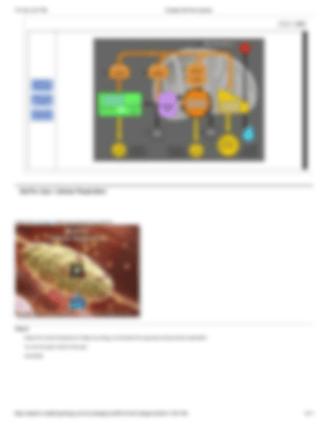 Chapter 06 Post Lecture BIO 105.pdf_d80x8aps0io_page5