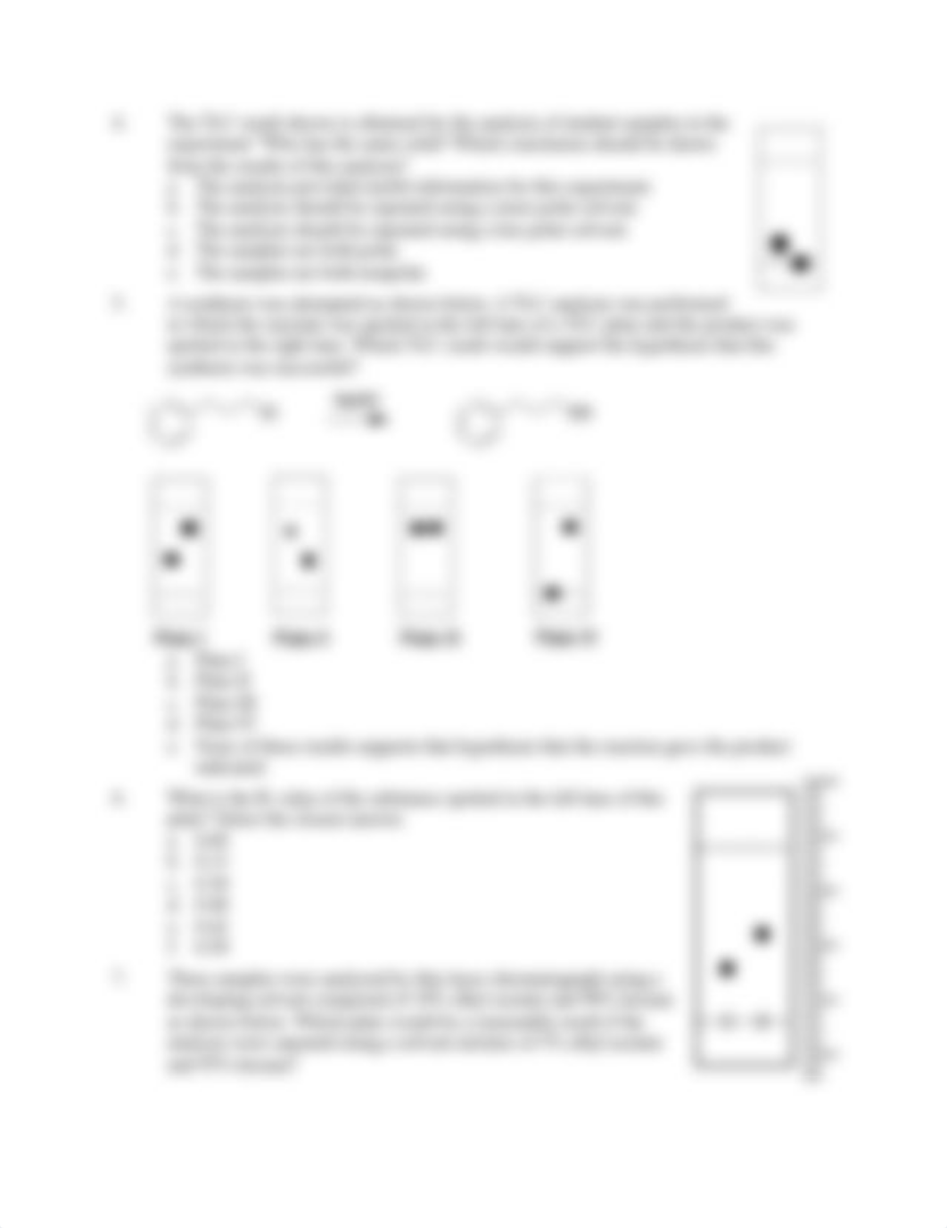 Sample Quiz Questions (1).pdf_d80yitqprm4_page2