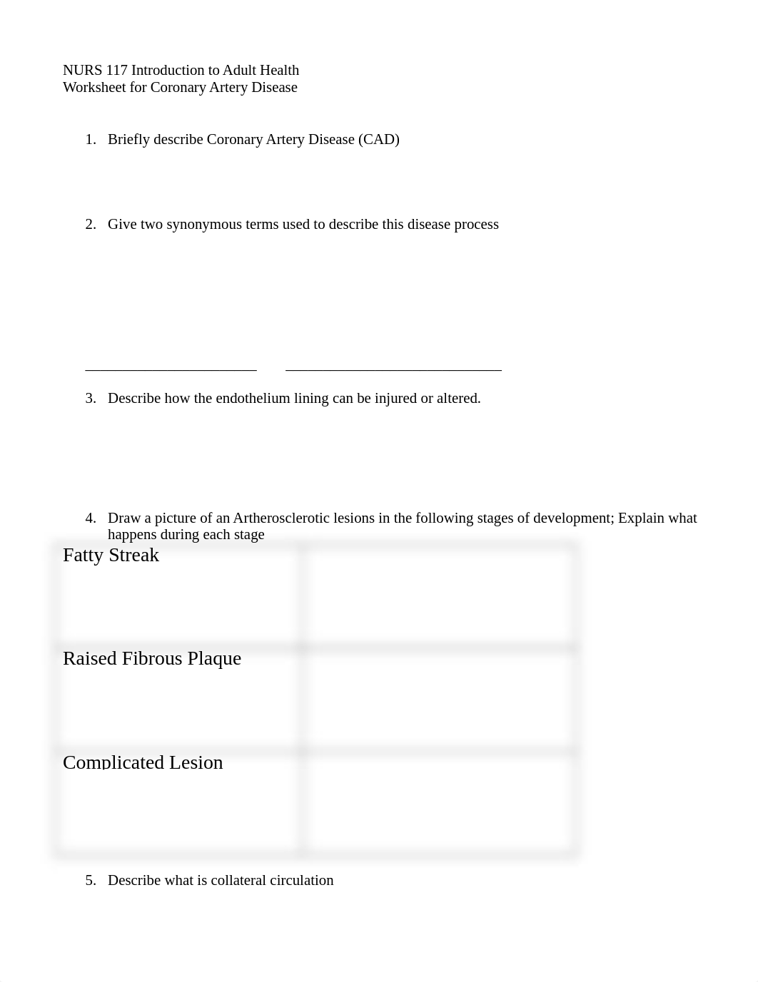 CAD Worksheet NURS 117 (3.17)-3.doc_d80zh27amfh_page1