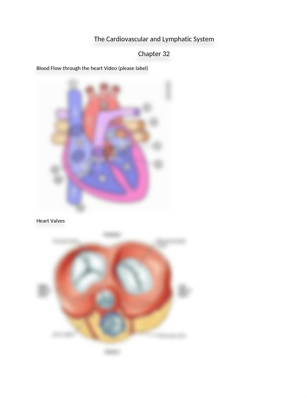 The Cardiovascular and Lymphatic SystemWorkSheet - Tagged (1).pdf_d81051u17dm_page1