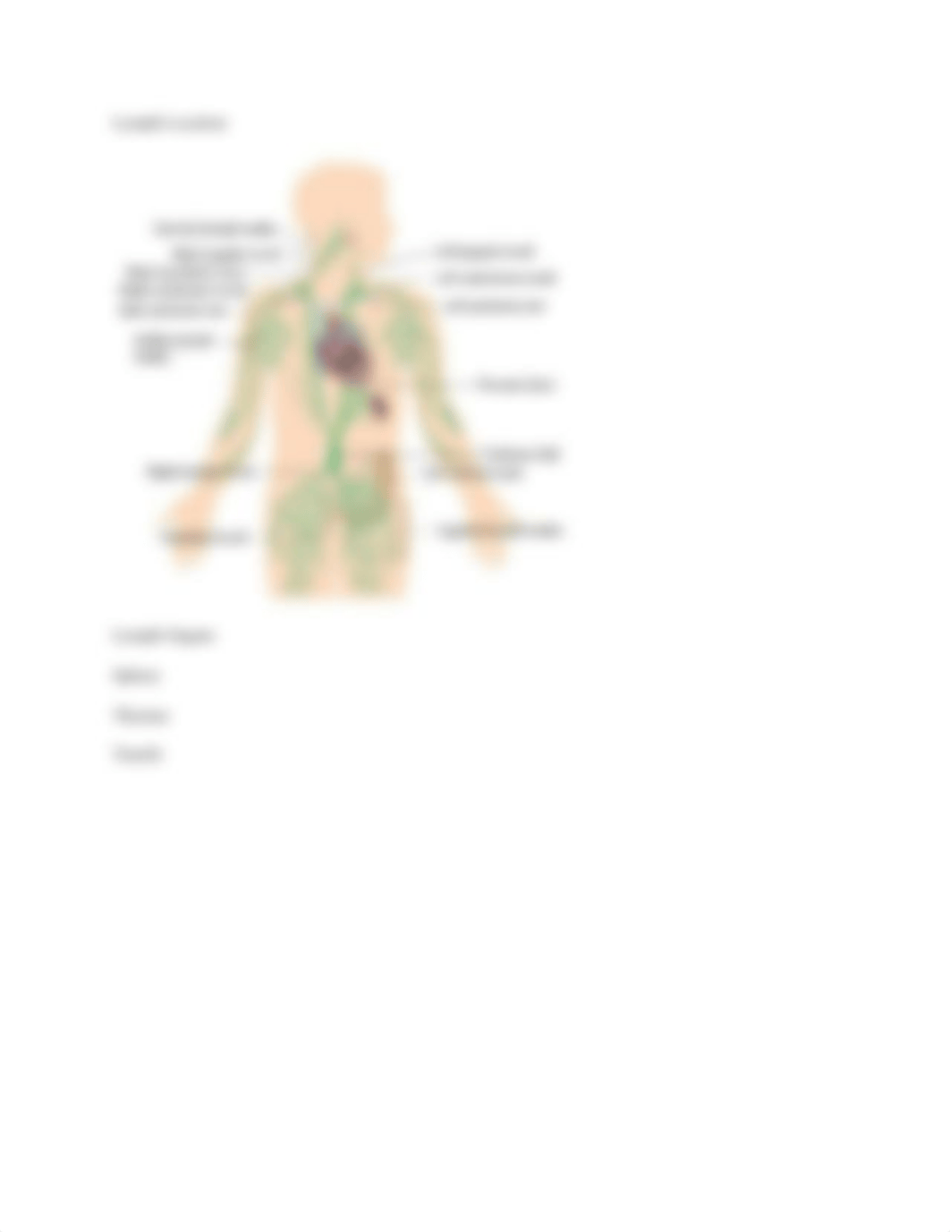 The Cardiovascular and Lymphatic SystemWorkSheet - Tagged (1).pdf_d81051u17dm_page5