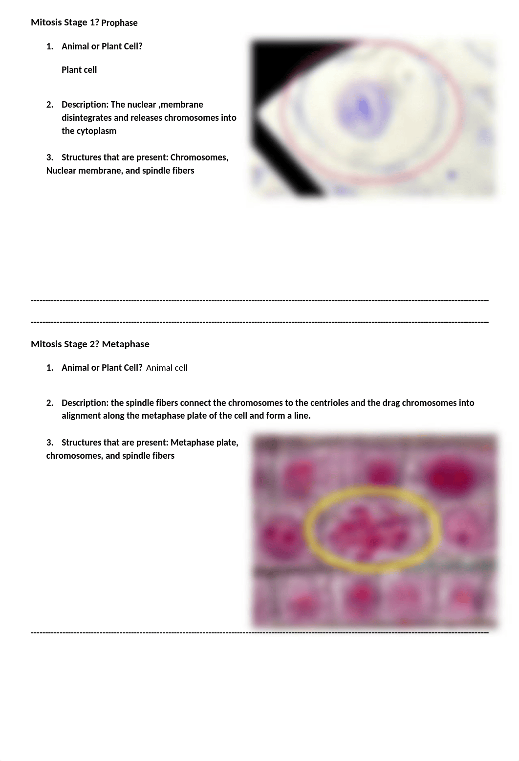 BIOL 1010 Lab 8 Assignment Mitosis and Meiosis-2.docx_d812s7w5j9f_page2