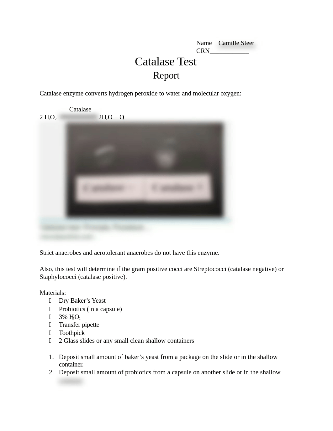 Catalase Test Report (1)-1.docx_d8172jurubm_page1