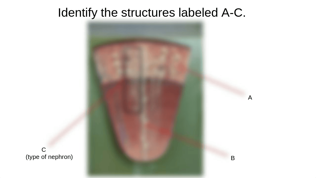 Mock LP 3.pptx_d818lmmlbg0_page3