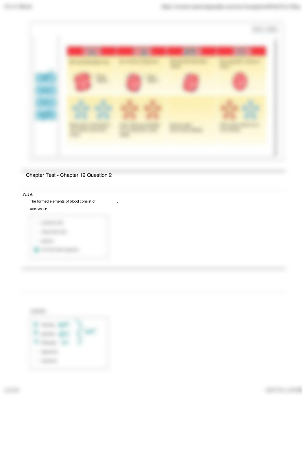 Ch 19 Blood HW.pdf_d81gfqw22ua_page2