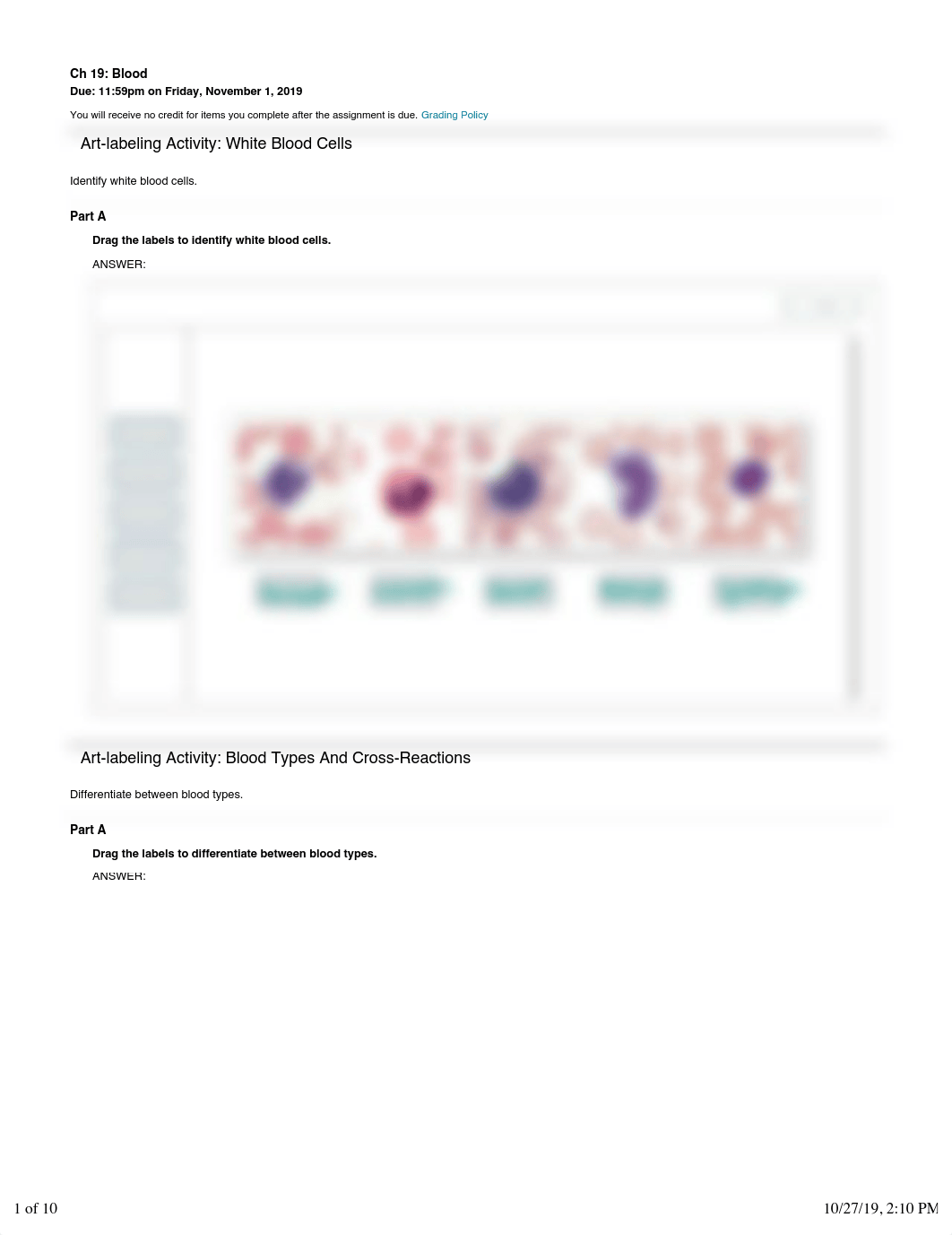 Ch 19 Blood HW.pdf_d81gfqw22ua_page1