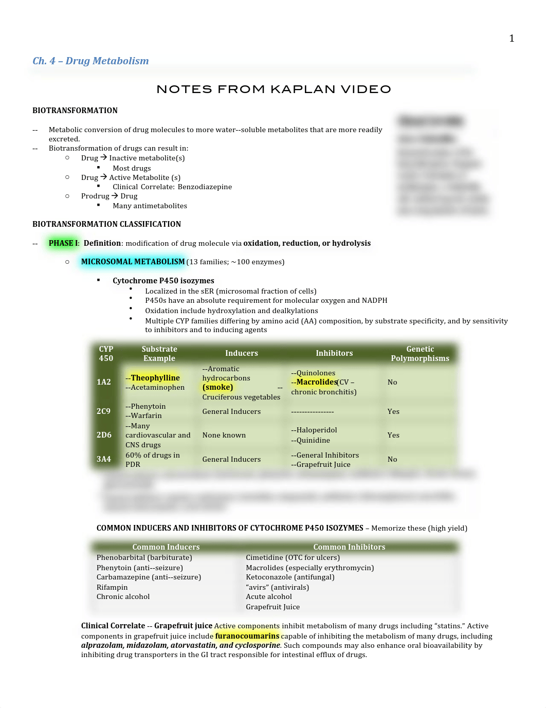 Pharm - 4 - Metabolism - BL_d81h6hcyjcl_page1