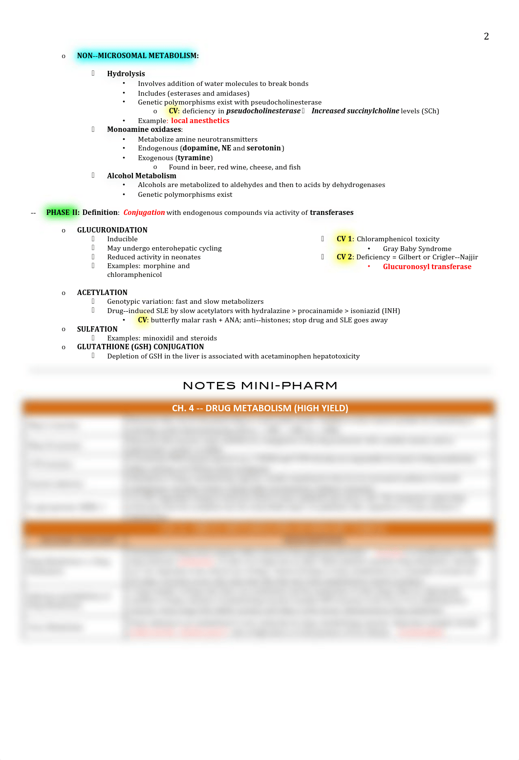 Pharm - 4 - Metabolism - BL_d81h6hcyjcl_page2