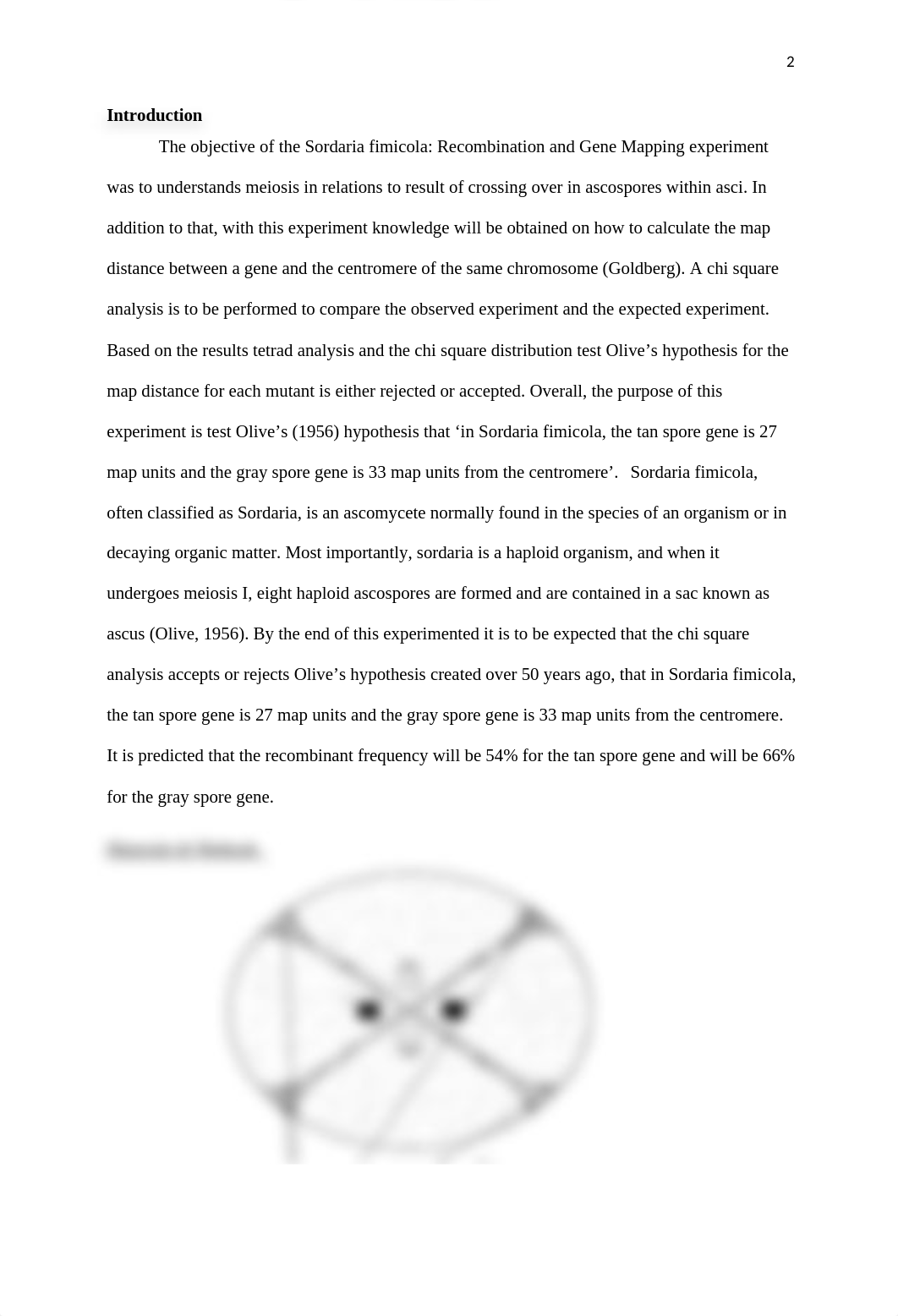 Genetics Lab Report.docx_d81id957lys_page2