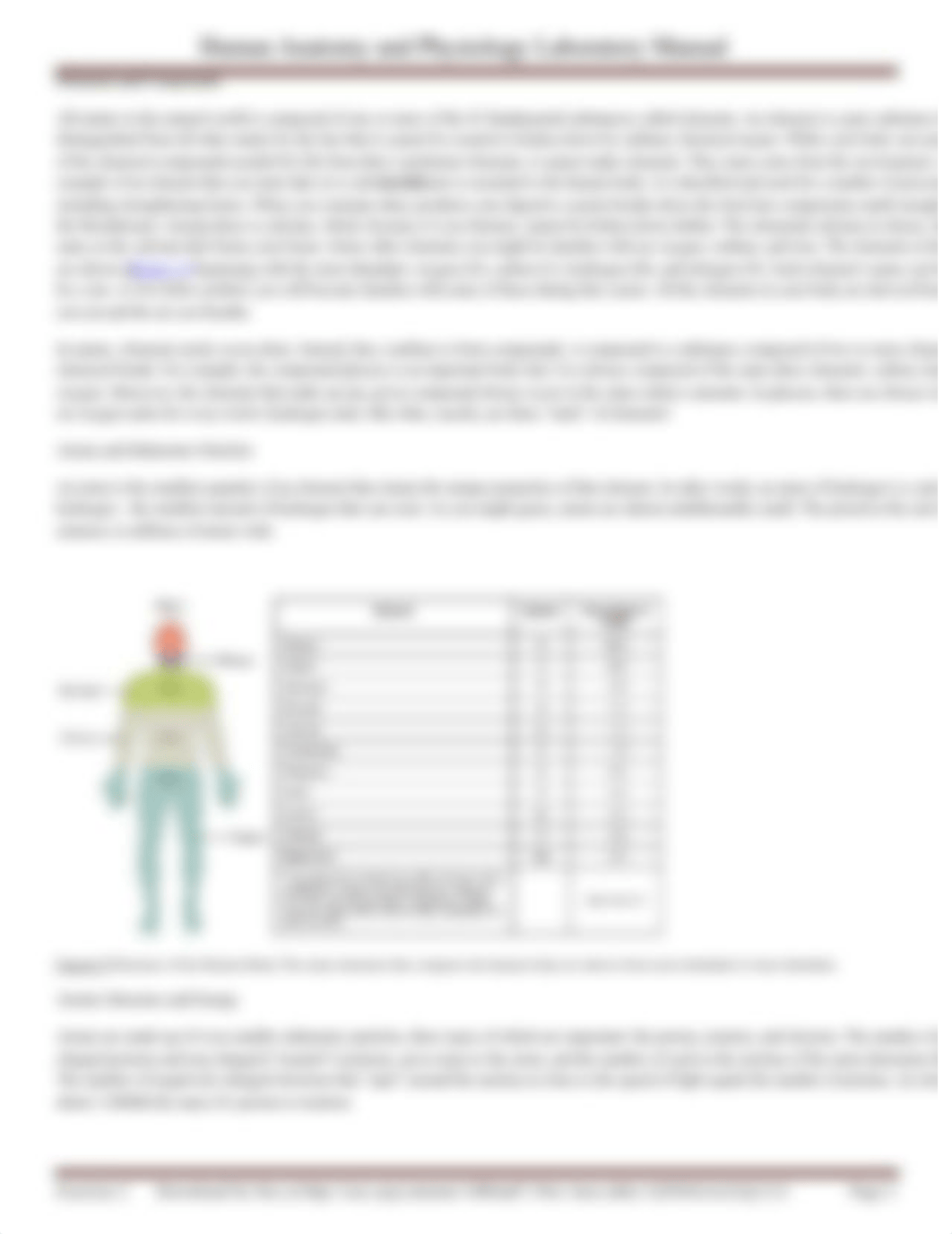 Human Anatomy and Physiology Laboratory Manual Chapter 2.docx_d81in1f1xsb_page2