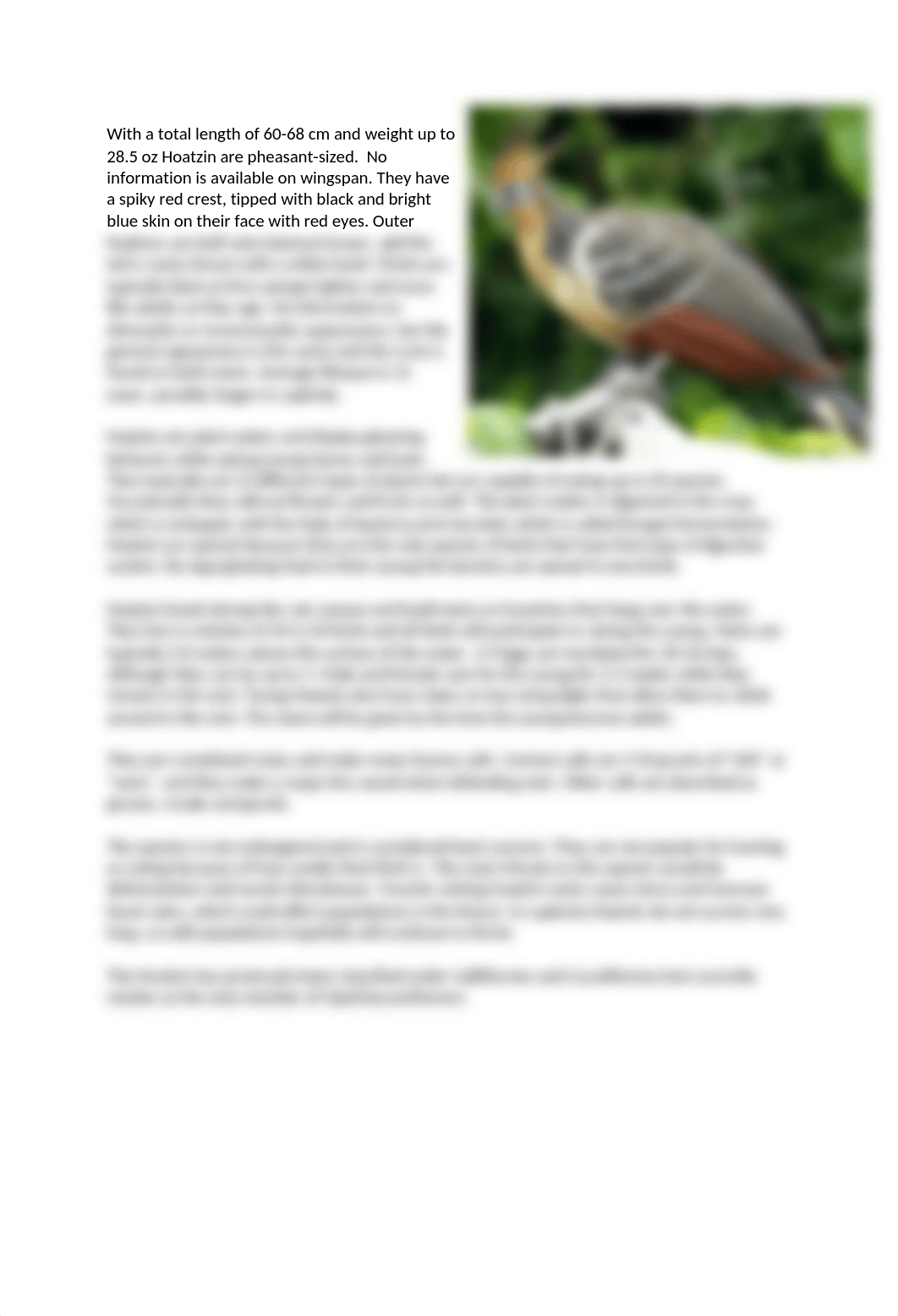 bird expose 5.docx_d81nflvad7c_page2