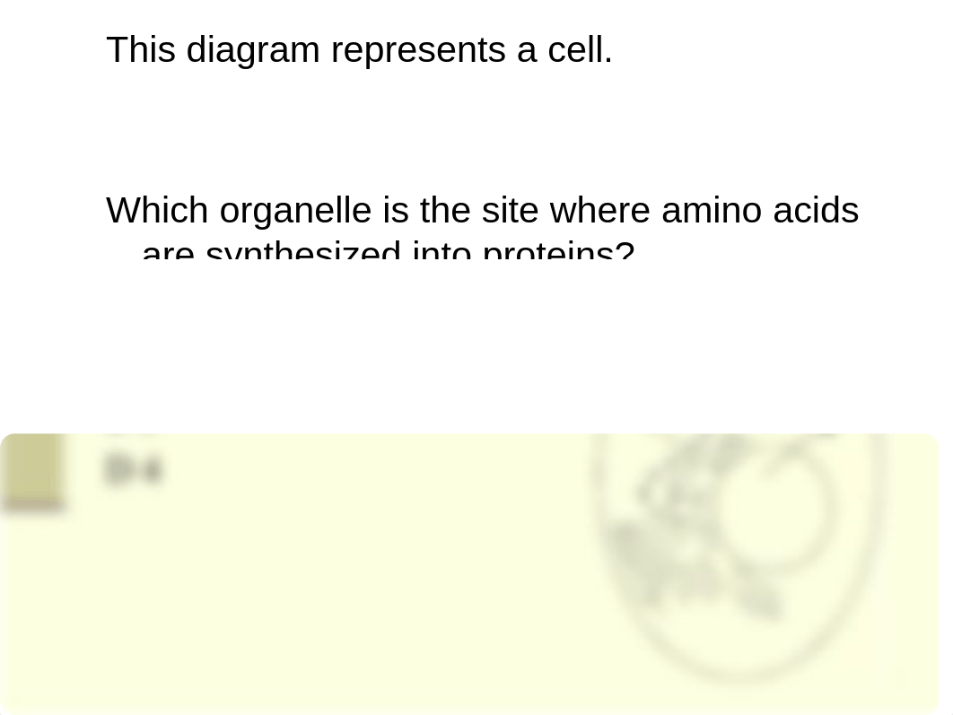 2009_Released_NC_Biology_EOC.ppt_d8203xz98yz_page4