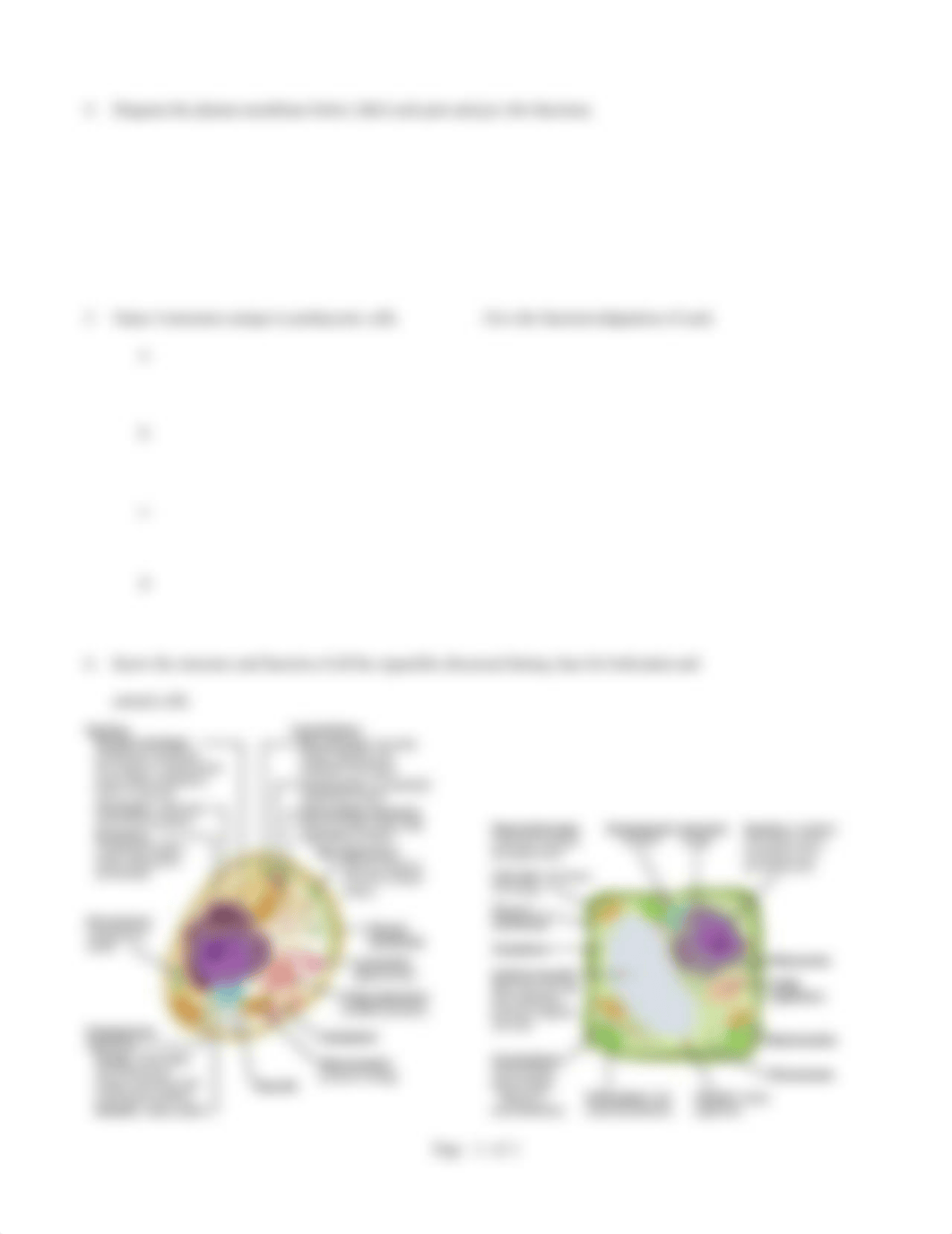 Bio 201 Homework 4 - Cells.docx_d8226wehd6h_page2