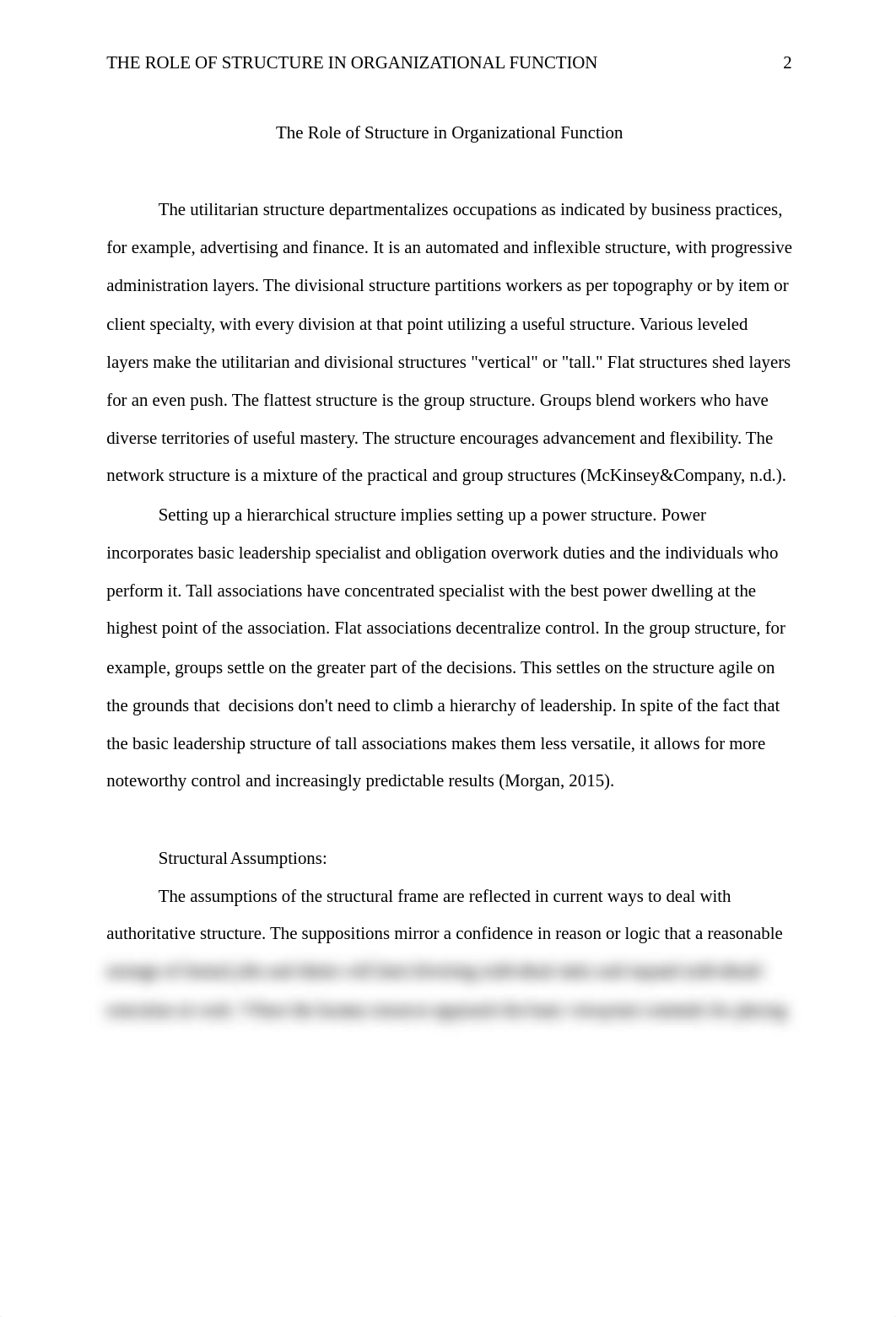 THE ROLE OF STRUCTURE IN ORGANIZATIONAL FUNCTION_d822a7bpssr_page2