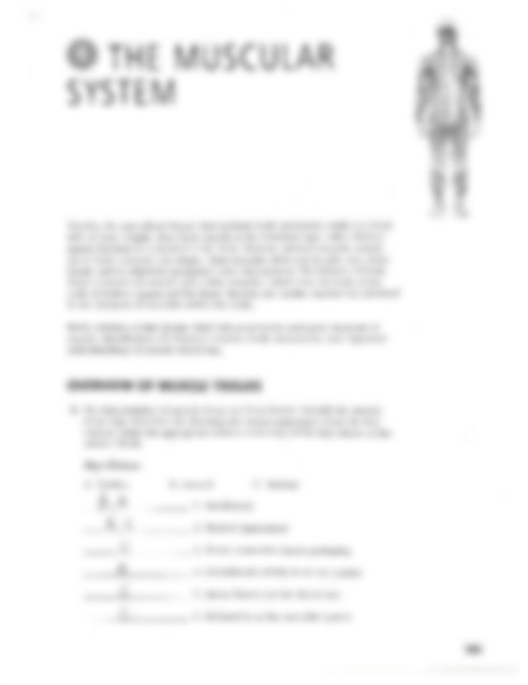 The Muscular System.pdf_d82427pmbew_page1