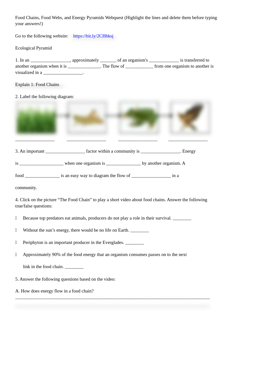 Food Chains and Food Webs Webquest (1).docx_d825v9l6jx2_page1