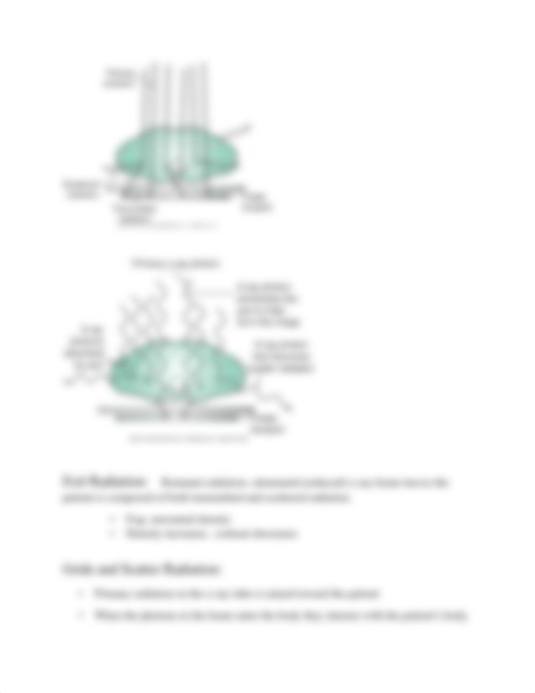 Rad 12 exam 3 review sheet.pdf_d82a9pvy94c_page5