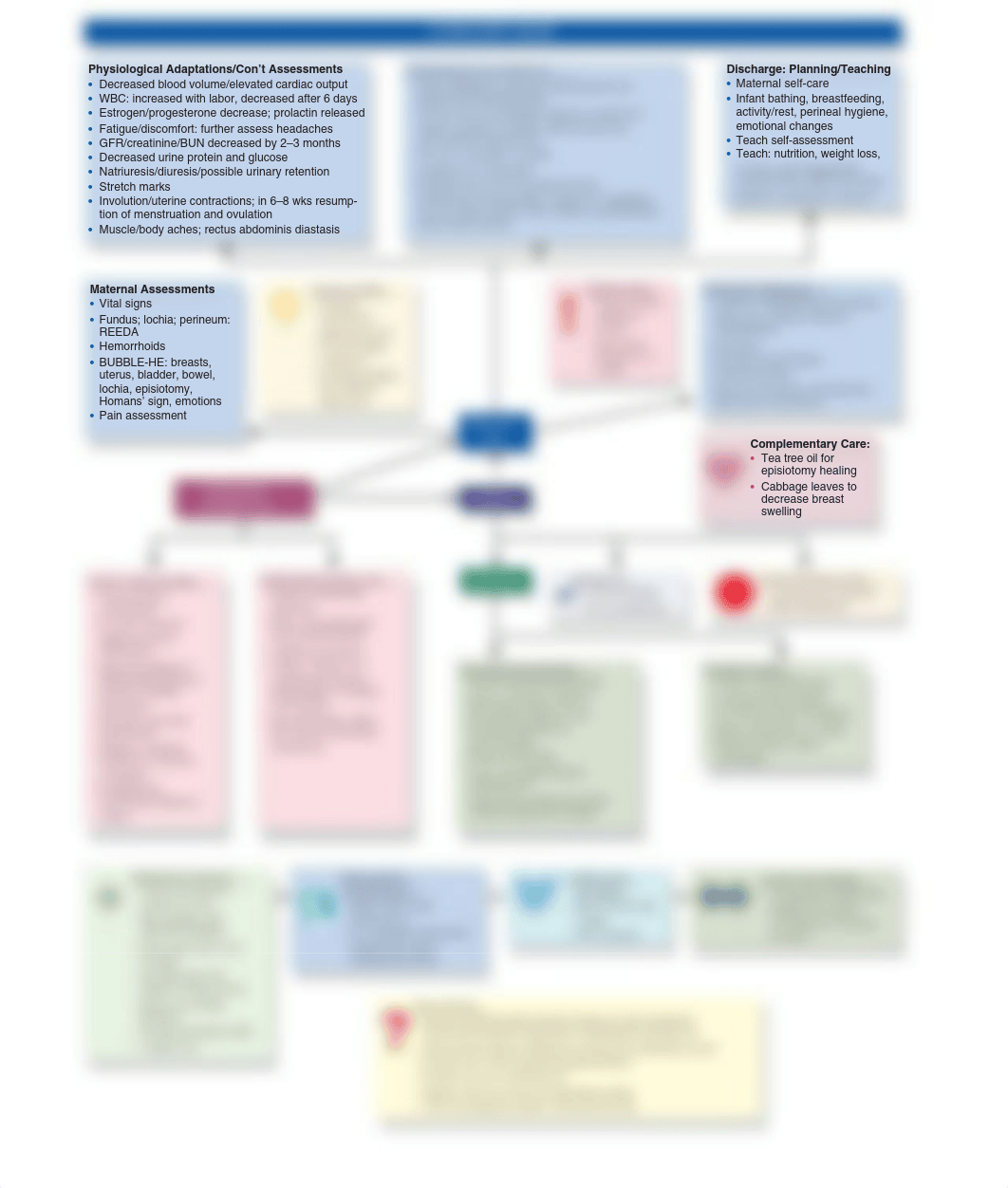 Postpartum concept map.pdf_d82bly6762i_page1