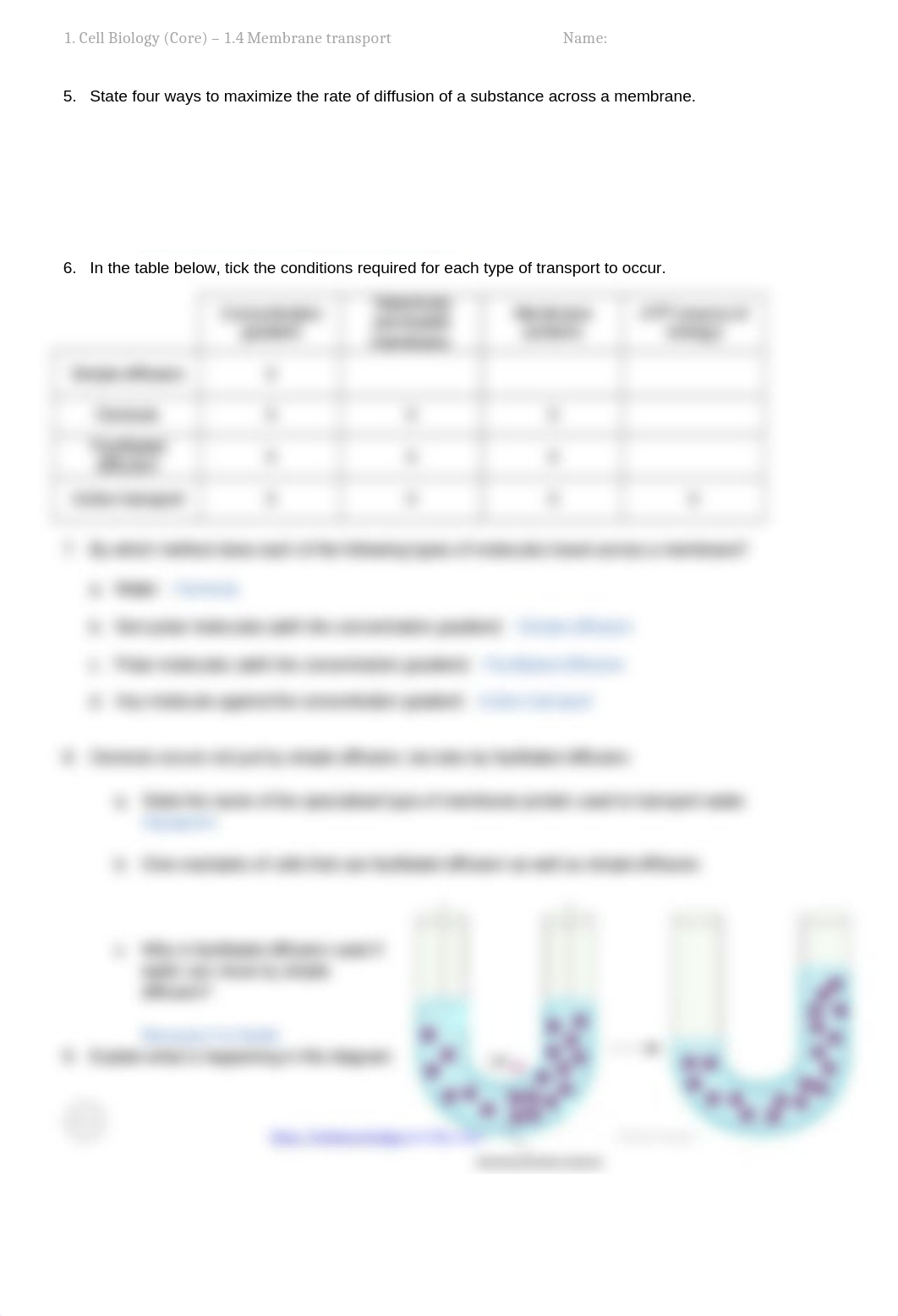 1.4 Membrane Functions Study Guide edited-1.docx_d82d9vm1we1_page2