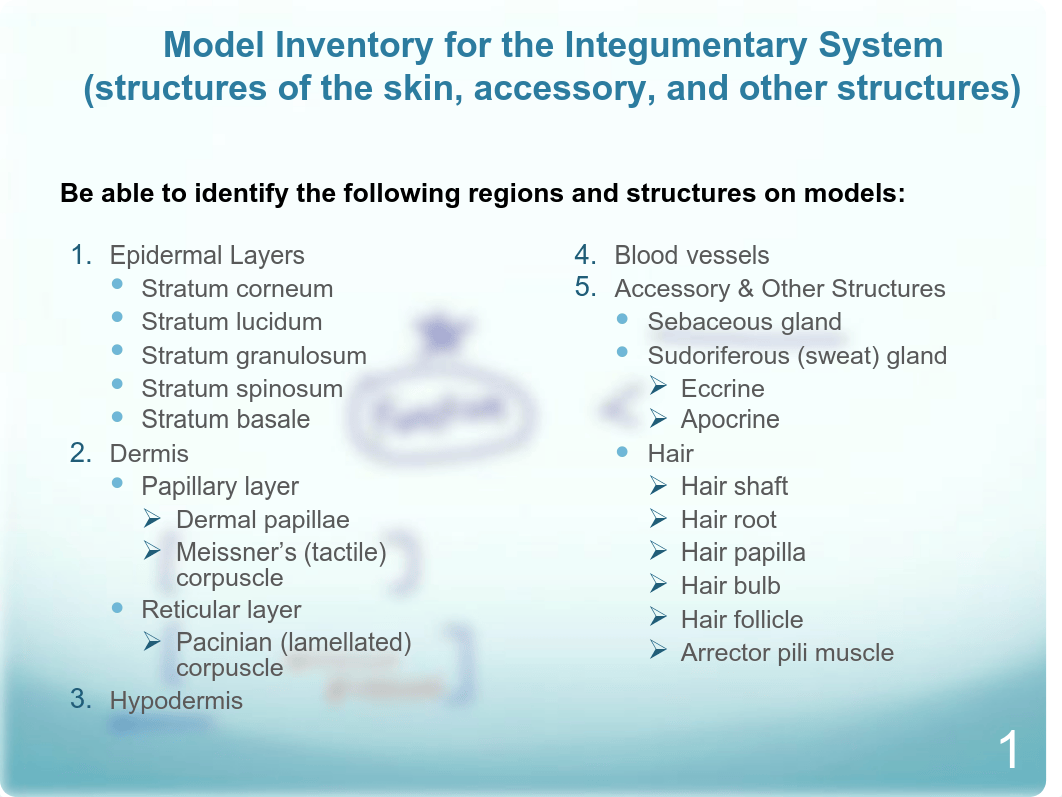 Lab_6_Integument.pdf_d82drfza9kc_page2