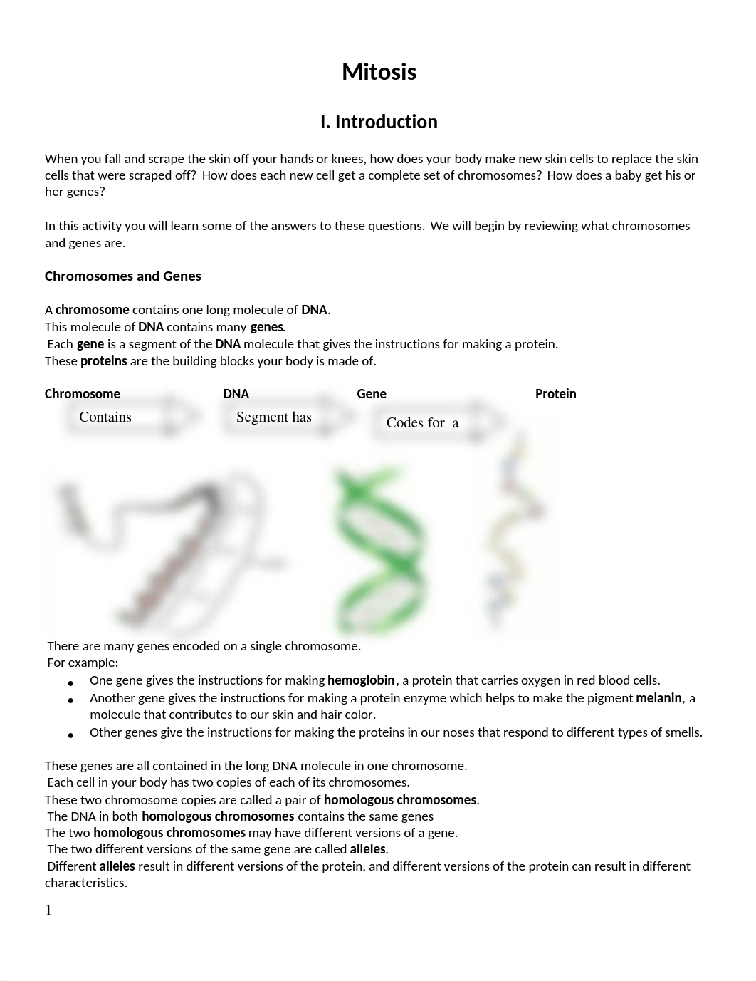 Mitosis Lab 2.doc_d82e7fh6urv_page1