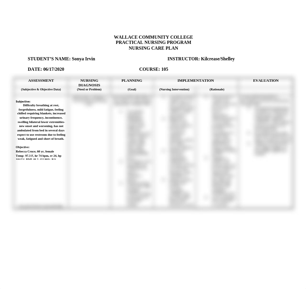 CARE PLAN-2.doc_d82hv3c7cqm_page1