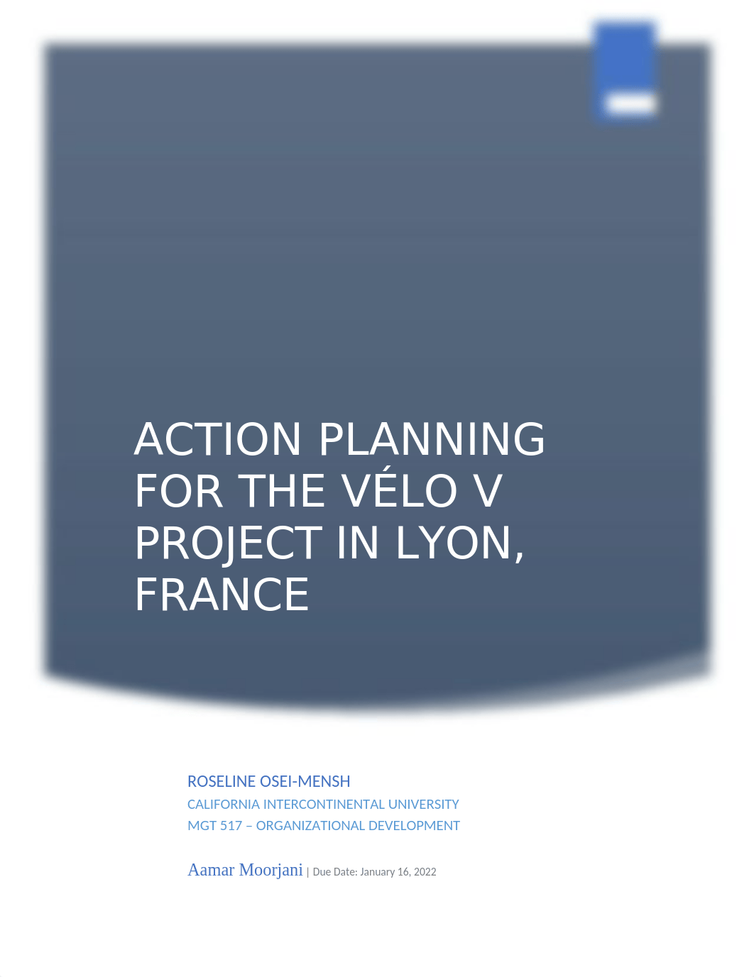 Action Planning for the Vélo V Project in Lyon case-Assignment.docx_d82tcqm3x52_page1