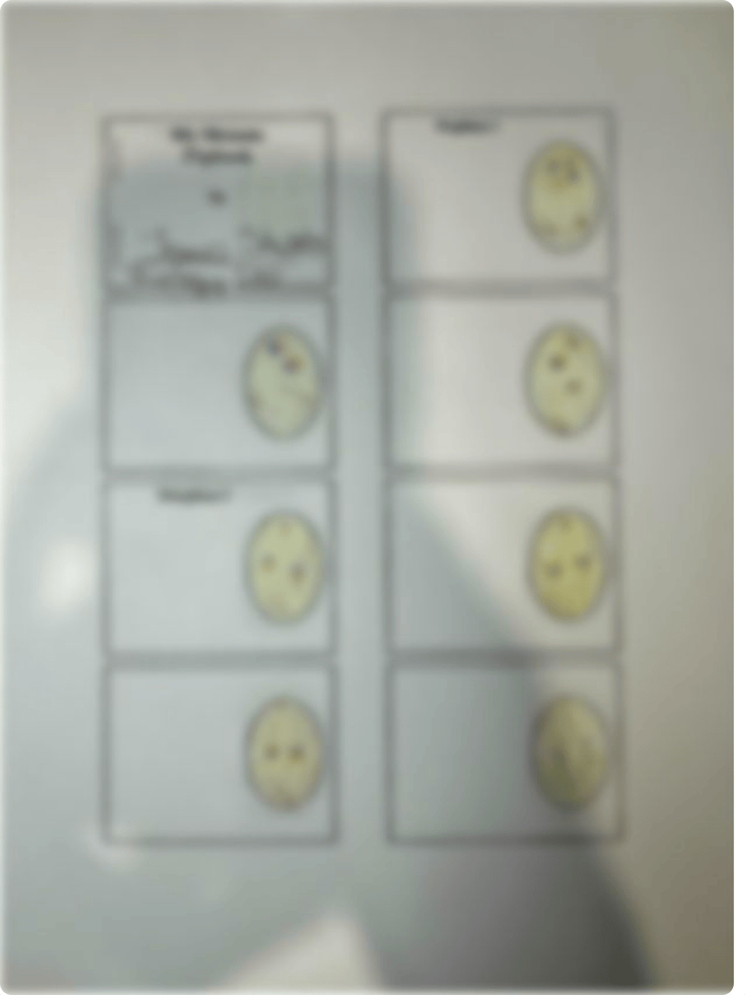 Meiosis flip book.pdf_d82tkpifkc9_page1