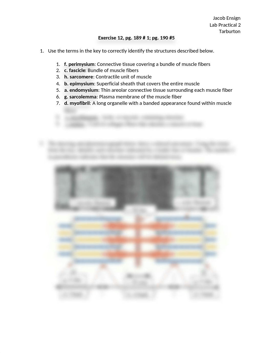 A&P Lab Exercise 12.docx_d82v9ihcgfu_page1