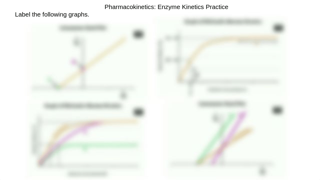 USMLE Pharmacology All Blank Practice Pictures 1.pptx_d82z5ybp0sm_page2