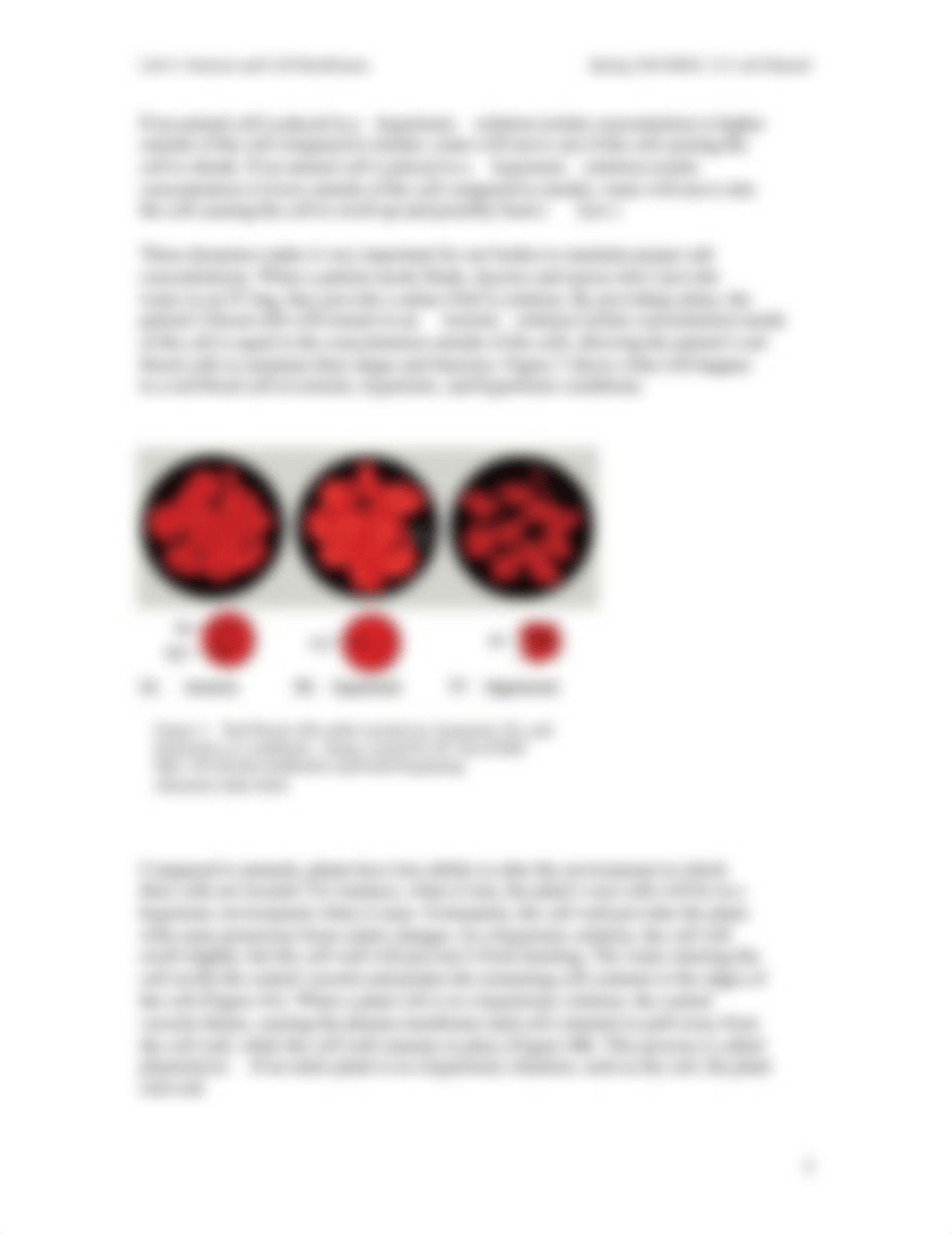 Lab 6 - Osmosis and cell membranes S20.pdf_d830wz9flcc_page3