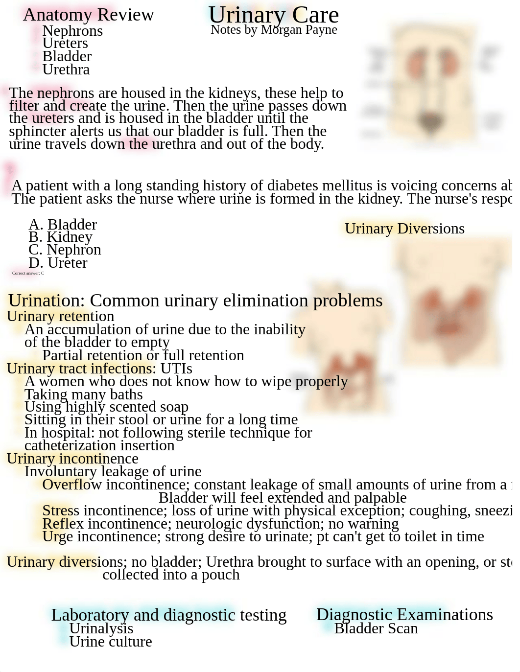 Fundamentals Exam 2 Study Guide.pdf_d831hf9t6k6_page1