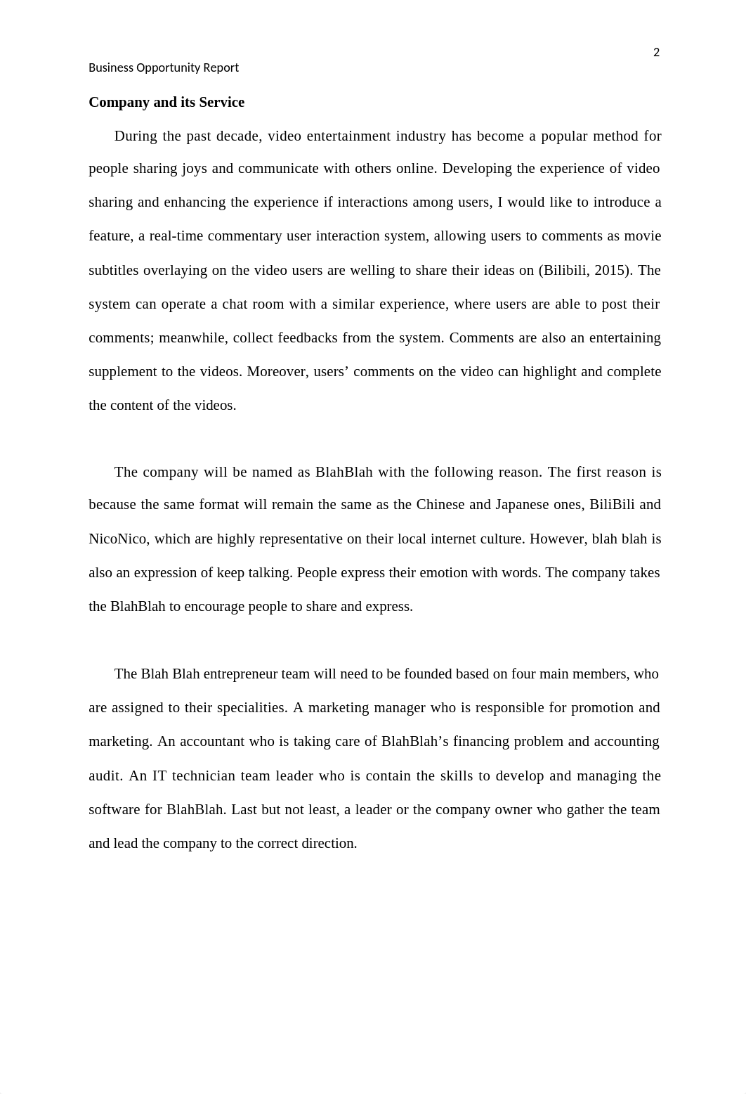 Business Opportunity Report.docx_d837olwjien_page2