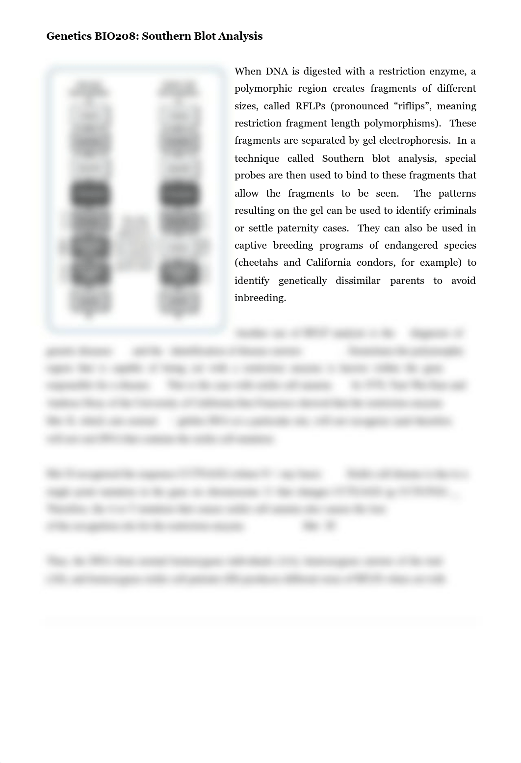 BIO208 Sickle Cell Diagnosis Lab SP14_d83r5eouoei_page2