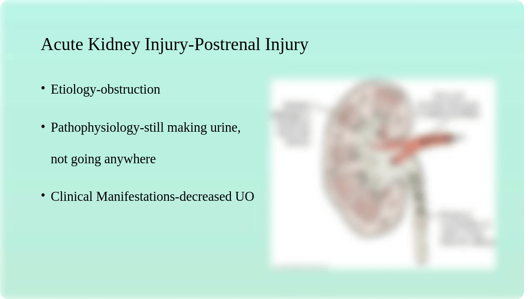 Acute Kidney Injury and Chronic Kidney Disease (1).pptx_d83xs6at9s6_page3