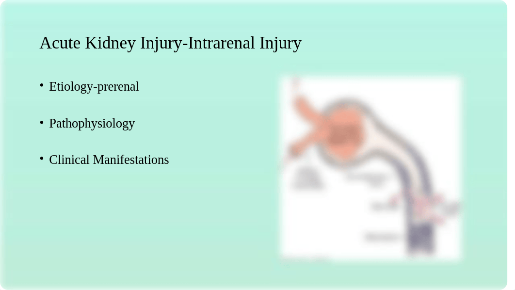 Acute Kidney Injury and Chronic Kidney Disease (1).pptx_d83xs6at9s6_page4