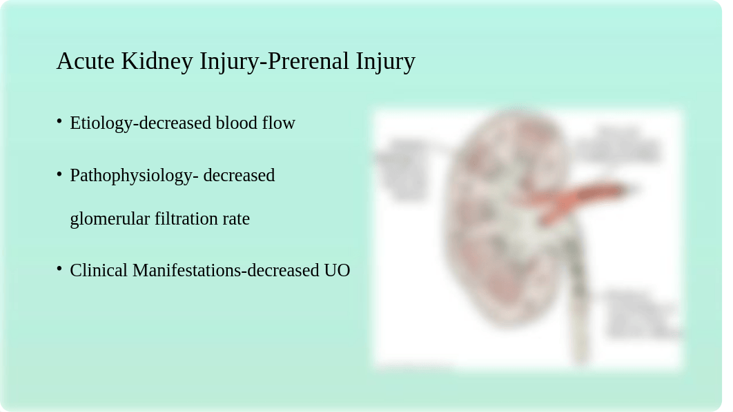 Acute Kidney Injury and Chronic Kidney Disease (1).pptx_d83xs6at9s6_page2