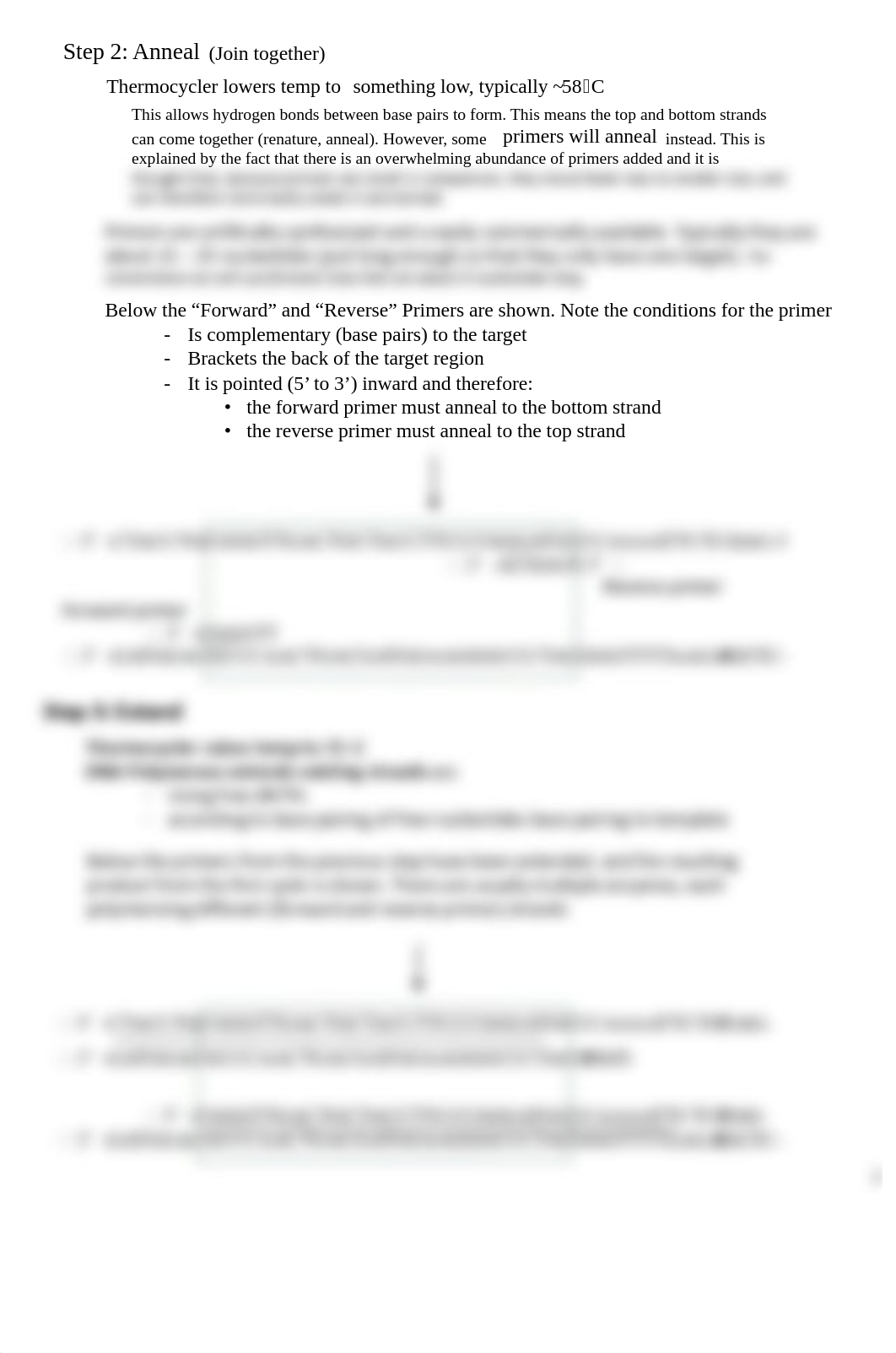 PCR exercise.pdf_d8488vq3loa_page2