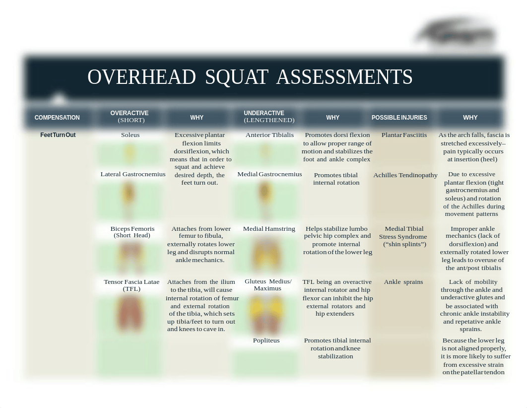 NASM-CPT_OHS_Compensations_and_Translations.pdf_d848wxlip38_page1