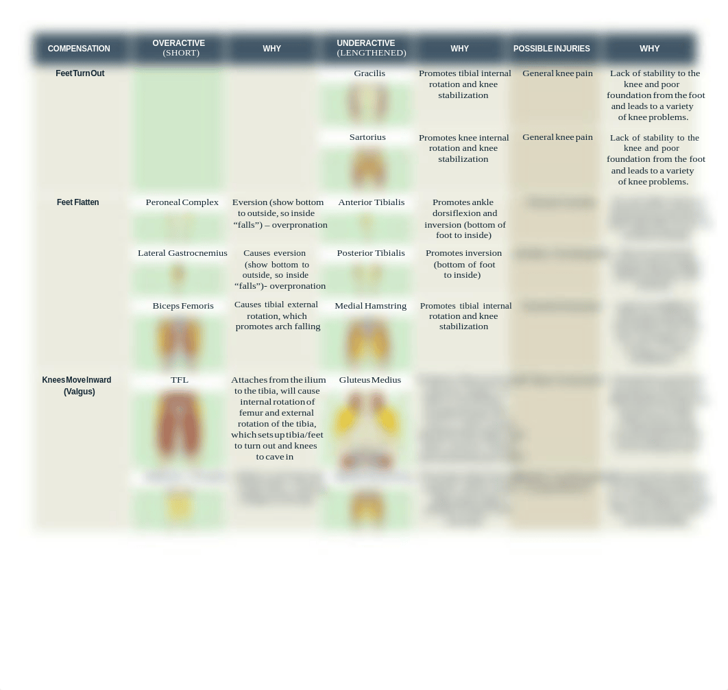 NASM-CPT_OHS_Compensations_and_Translations.pdf_d848wxlip38_page2