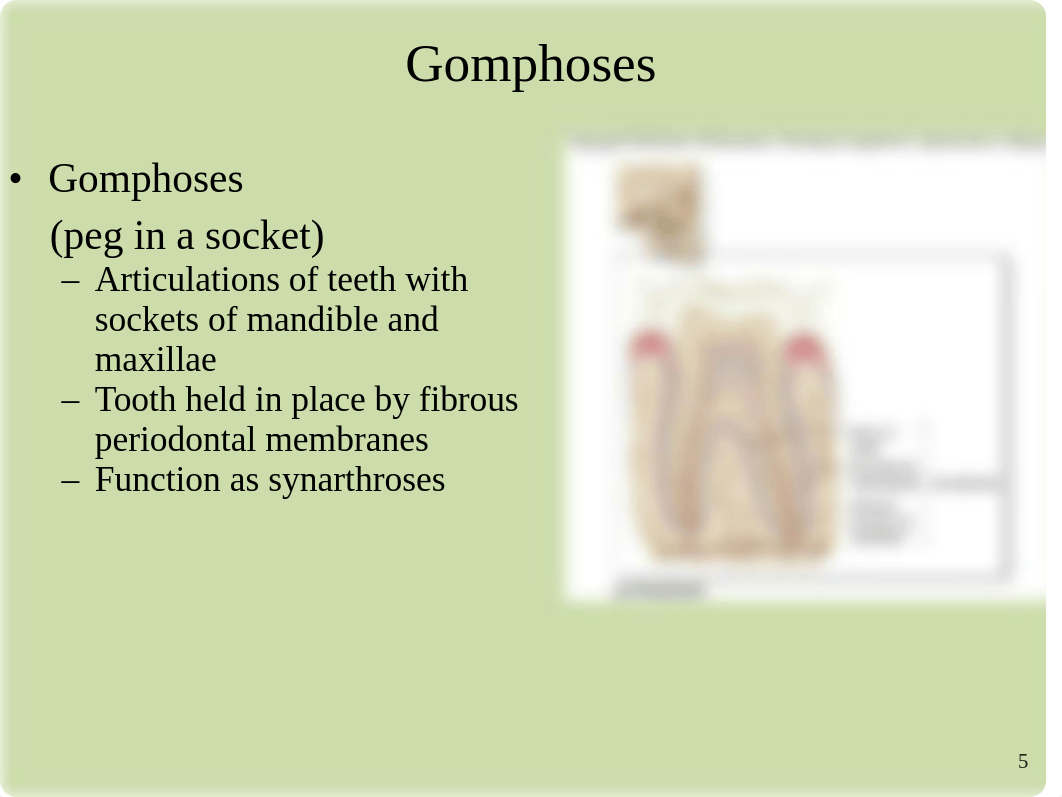 Chap 9 - Joints.pdf_d84h8e74th0_page5