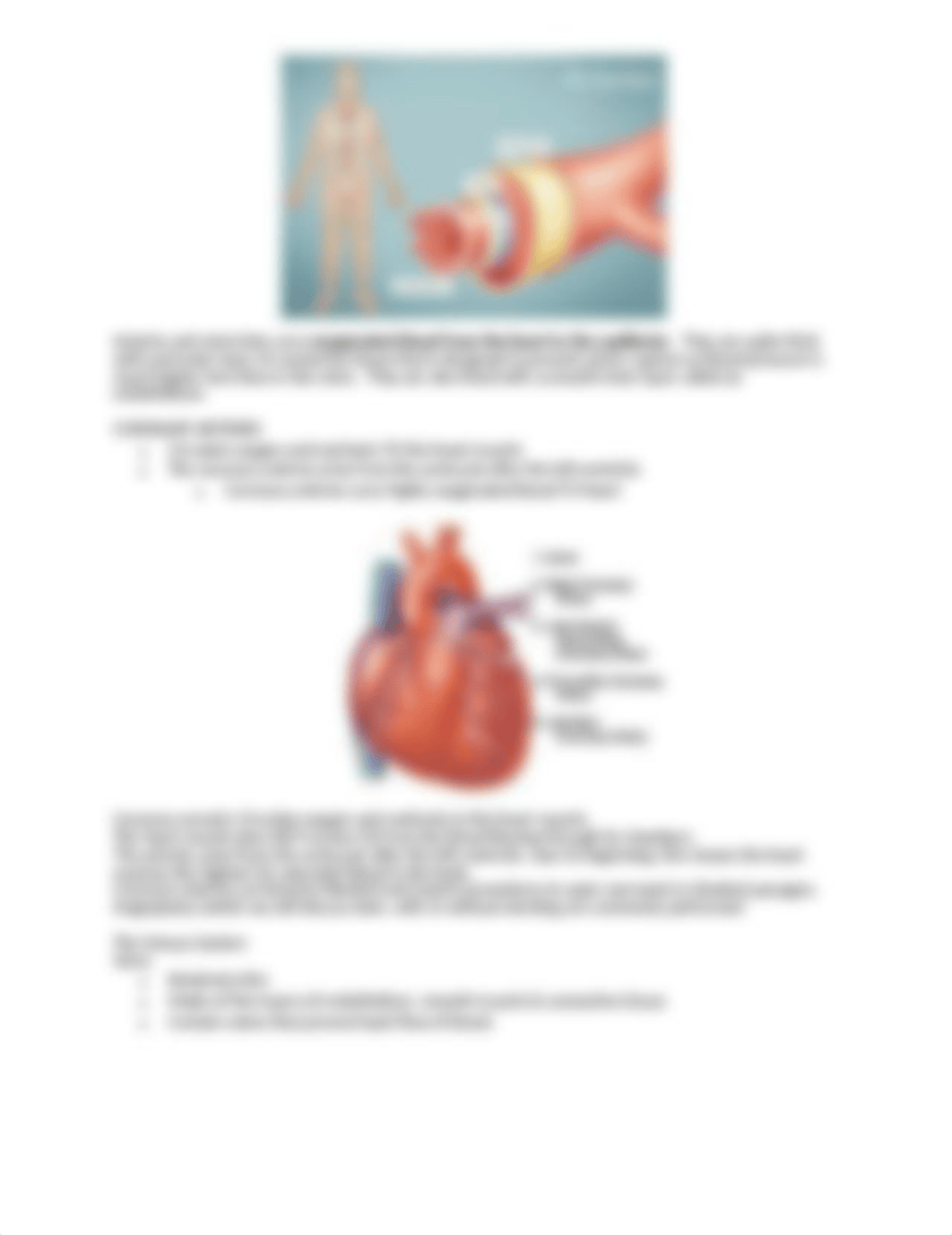 cardiovascular outline 2020.doc_d84hl8z52tu_page5