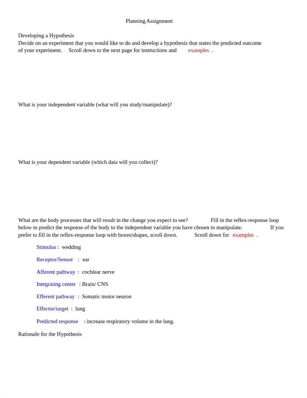 30b_2225L_Planning_Assignment_Worksheet_619 (6).doc_d84i55lx66t_page1