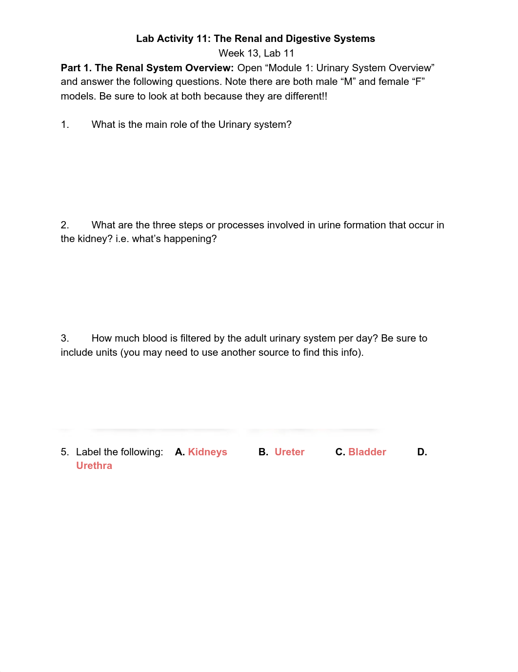 Lab_11_activity_for_renal_and_digestive_systems.docx.pdf_d84w0mqy78q_page1