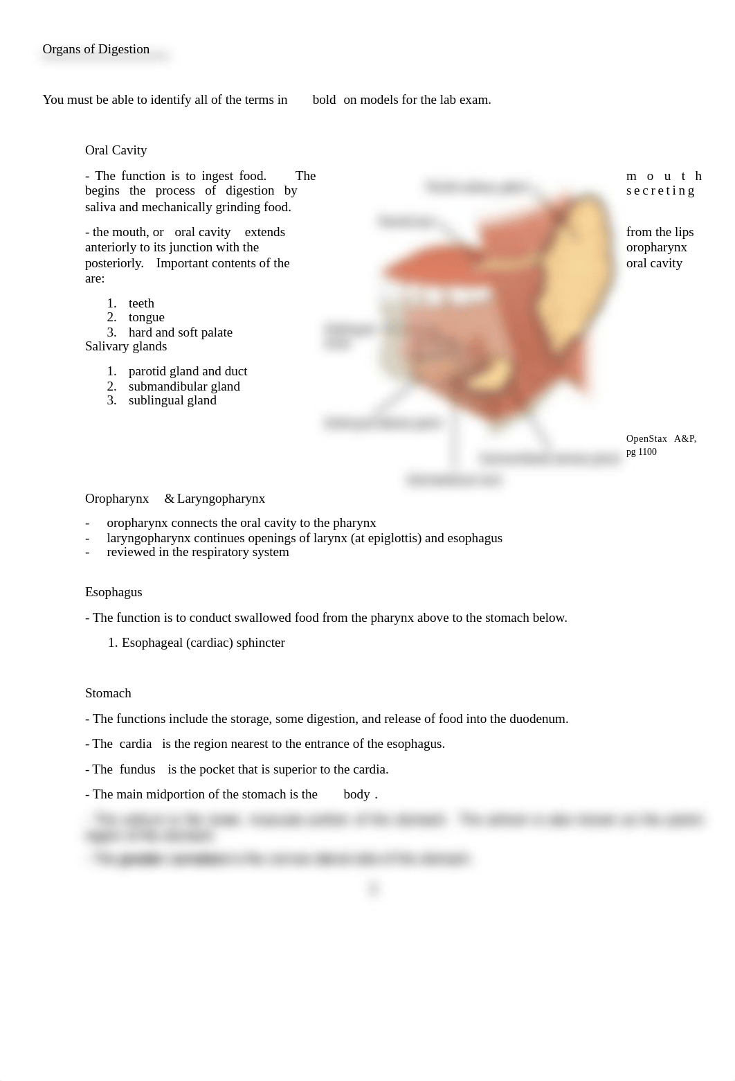 Assignment 5- Ch. 24 - Digestive system - B - Copy-Luke Lorson.pdf_d84y6aznc9b_page2